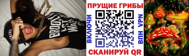 Купить где  Вышний Волочёк  Галлюциногенные грибы прущие грибы 